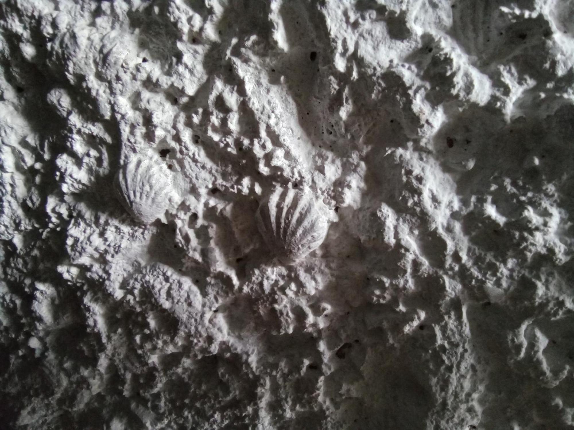 Вилла Les Coquillages Essoyes Экстерьер фото